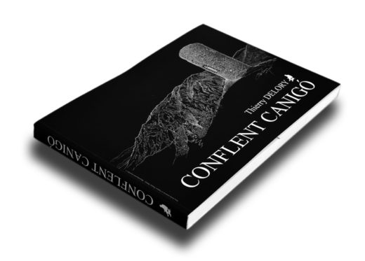Livre Thierry Delory