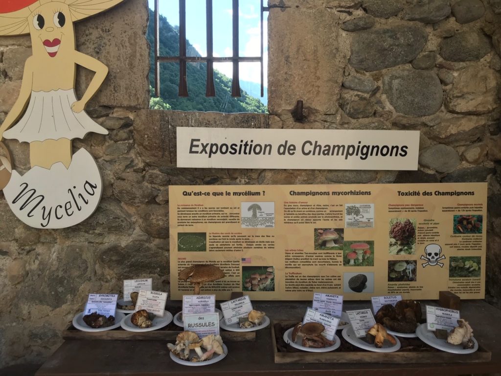 Boutique du Champignon
