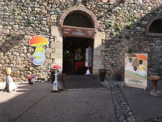 Boutique du Champignon