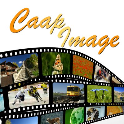 Caap Image